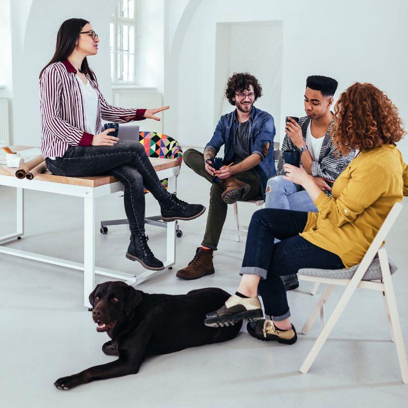Ein Team von 4 Personen einer Agentur sitzen zu einer Besprechung zusammen. Auf dem Boden liegt ein schwarzer Labrador.