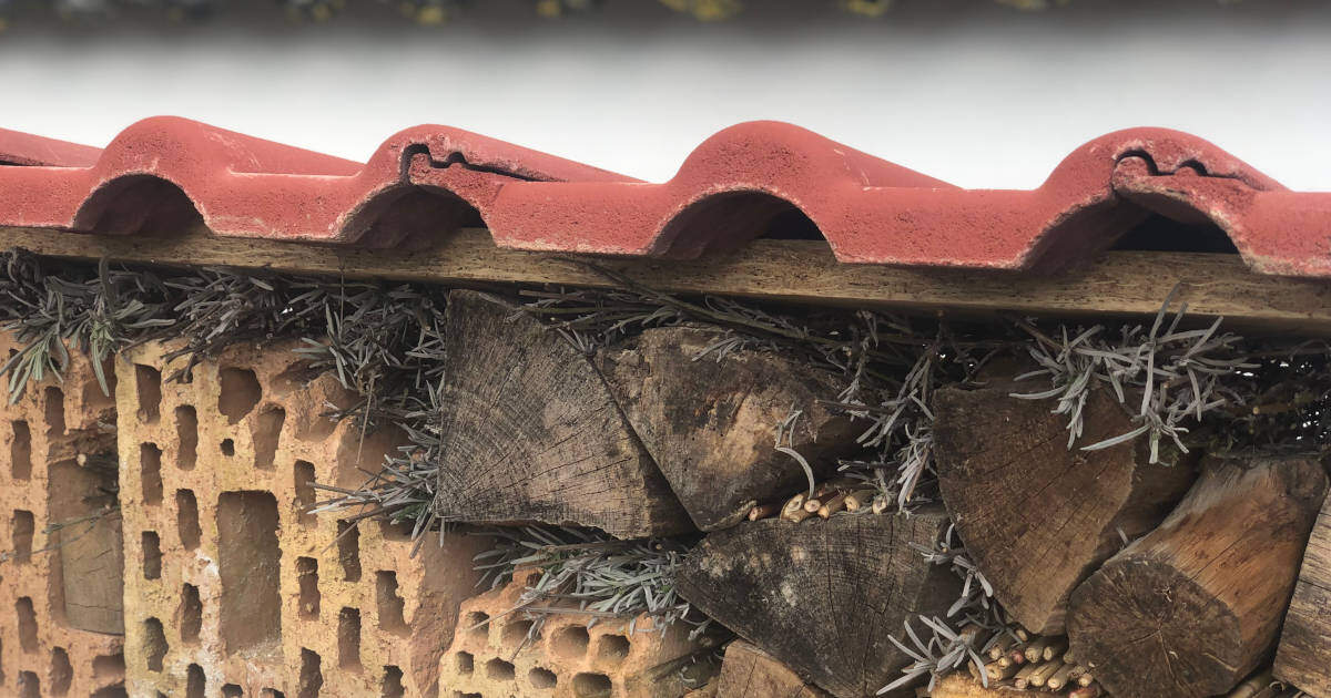 Detail-Ansicht vom Insektenhotel mit roten Ziegel als Überdachung, Harthölzern und alten Ziegelsteinen.